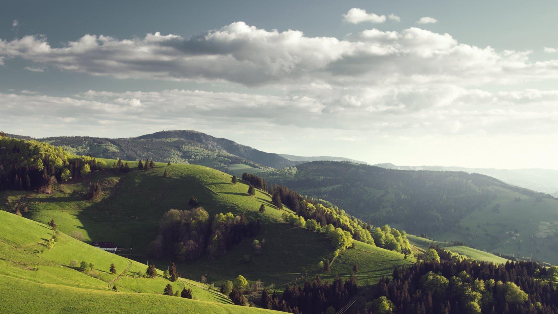 Welliges Grün mit lebendigem Gras und Wäldern unter einem wolkenverhangenen Himmel in Deutschland.